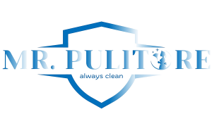 Mr. Pulitore